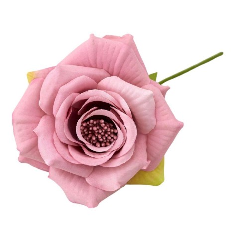 ROSA MAXI ROSA ANTICO D9